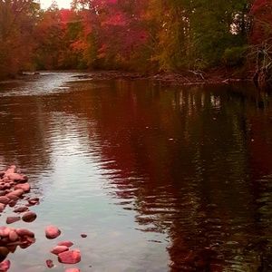 Meet your Posher, Lori